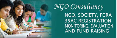 Ngo Services